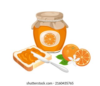 Orange jam set. Spread on piece of toast bread, knife, glass jar with marmalade and fresh citrus fruit isolated on white background. Vector sweet food illustration in cartoon flat style.