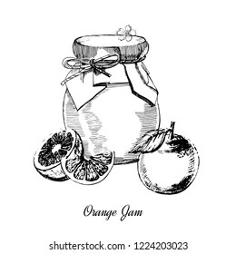 Orange jam.Hand drawn illustration. Ink sketch of canning oranges, isolated on white background.