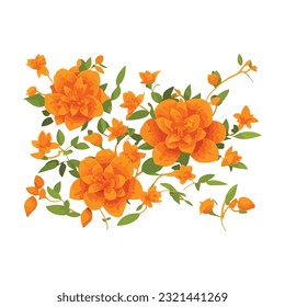 Orange jasmine flower vector design