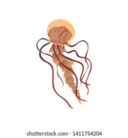 Orange jellyfish closeup. Vector illustration on white background.