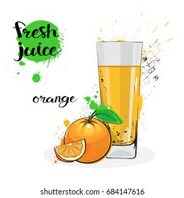 Orange Juice Fresh Hand Drawn Watercolor Fruits And Glass On White Background Vector Illustration