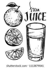 Orange juice. Hand drawn sketch converted to vector
