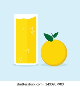 Orange juice ,Healthy cold drinks concept. vector