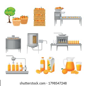 Orange Juice Production with Harvesting, Cleaning and Extraction Stages Vector Illustration Set