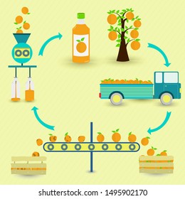 Orange juice production steps. Orange tree, harvest, transport, separation of healthy and rotten oranges, processed in factory and botted. In a circular scheme.