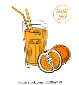 Orange Juice. Sketch Illustration. Vector Eps10