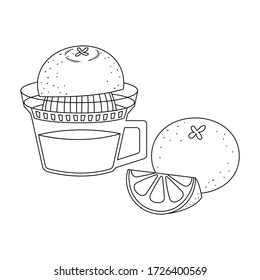 Ilustración vectorial de zumo de naranja y naranja aislada en fondo blanco. Cruzado de jugo de naranja. 
Exprimidor de zumo de naranja. 