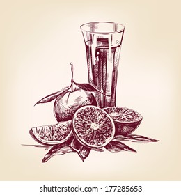 orange juice vintage hand drawn vector illustration
