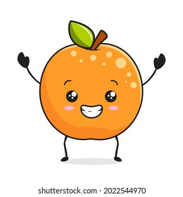 Orange Kawaii Cartoon Citrus Mascot Illustrations