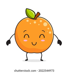 Orange Kawaii Cartoon Citrus Mascot Illustrations