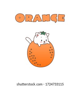 Orange. Kawaii illustration of a little white kitten sitting in an orange. Vector 8 EPS.
