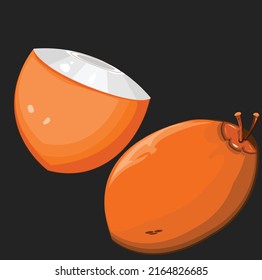 Orange king coconut vector illustration.