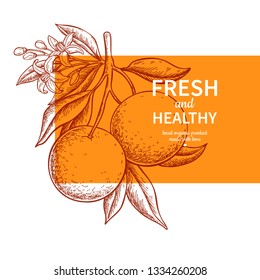 Orange label vector drawing. Citrus fruit engraved template. Hand drawn summer illustration. Vintage banner, product packaging, design concept. Tropical juice poster, grapefruit sign