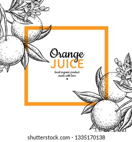 Dibujo vectorial de etiqueta naranja. Plantilla de marco grabada de cítricos. Dibujo de verano hecho a mano. Pancarta vintage, concepto de diseño de embalaje de productos. Póster de jugo tropical, pomelo