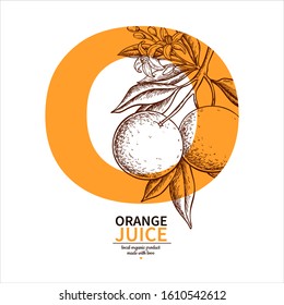 Orange label vector drawing. Citrus fruit engraved template. Hand drawn summer illustration. Vintage banner, product packaging, design concept. Tropical juice poster, grapefruit sign