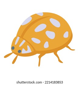 Orange ladybug icon isometric vector. Cute ladybird. Cute insect
