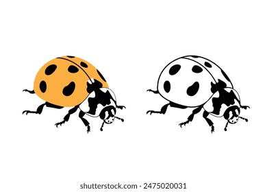 Orange ladybug, winged insect in summer Vector graphics.Ladybug isolated on white background.