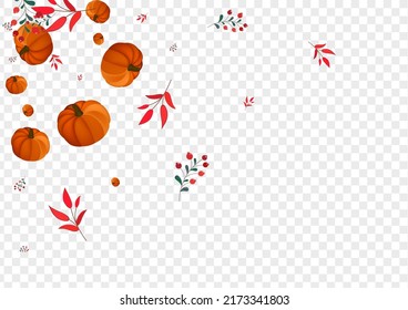 Orange Leaf Background Transparent Vector. Gold Foliage Texture. Colorful Leaves Fall Set. Pumpkin Halloween. Oak Frame.