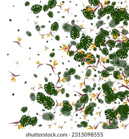 Orange Leaf Background White Vector. Foliage Realistic Texture. Yellow Plant. Trendy Backdrop. Red Nature Illustration.