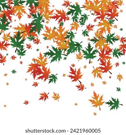 Orange Leaf Background White Vector. Maple Seasonal Pattern. Ocher Flag. Isolated Frame. Colorful Foliage Down.