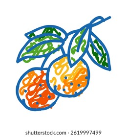 orange leaf branch doodle icon sketch vector. orange leaf branch sign. isolated symbol illustration