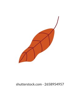 Orange leaf with delicate veins on a white background. Hand drawn vector illustration for autumn designs.