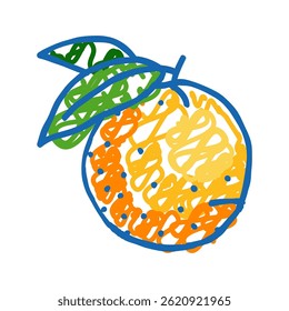 orange leaf green doodle icon sketch vector. orange leaf green sign. isolated symbol illustration