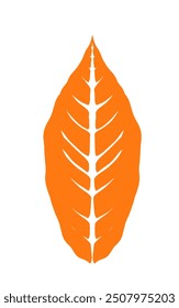 orange leaf icon without background