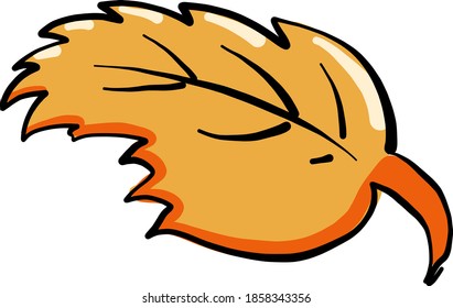 Orange leaf, illustration, vector on white background