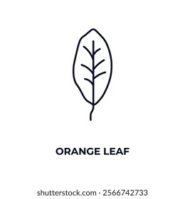 orange leaf outline icon. Linear vector from nature concept. Thin line orange leaf icon isolated on white background