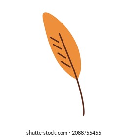 Orange leaf. Vector illustration isolated on white background, flat style.