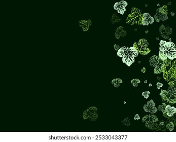 Orange Leaf Vector Panoramic Transparent Background.  Flying green leaves. 