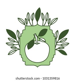 orange with leafs frame slice fresh and citrus fruit