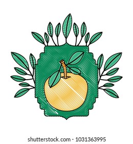 orange with leafs frame slice fresh and citrus fruit
