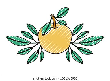 orange with leafs fresh and citrus fruit