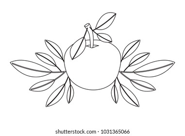 orange with leafs fresh and citrus fruit