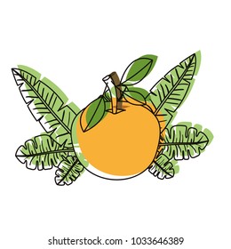 orange with leafs fresh and citrus fruit