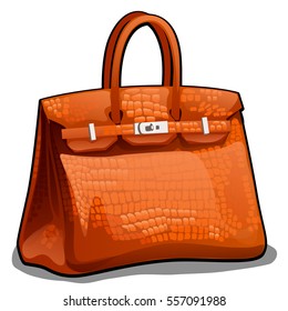 Orange leather handbag made from crocodile skin isolated on white background. Vector illustration close-up.
