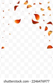 Orange Leaves Abstract Vector White Transparent Background Brochure. Swirl Foliage Pattern. Yellow Solar Falling Branch. Leaf Transparent Border.