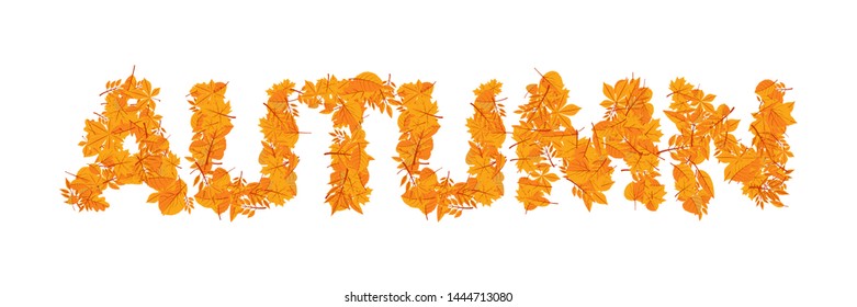 Orange leaves Autumn word vector illustration. Autumn season stylized typography. Dry yellow oak, maple leaves herbarium. Deciduous trees twigs web banner design. Foliage plants botanical lettering