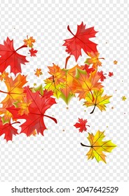 Orange Leaves Background Transparent Vector. Foliage Bright Template. Yellow Decor Plant. Ground Floral Design.