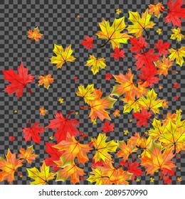 Orange Leaves Background Transparent Vector. Foliage Bright Template. Yellow Decor Plant. Ground Floral Design.