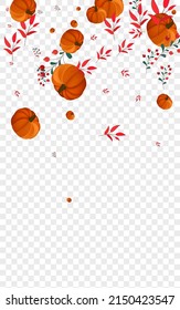 Orange Leaves Background Transparent Vector. Green Vibrant Set. Gold Rowan Botanical Border. Gourd Fall. Healthy Frame.