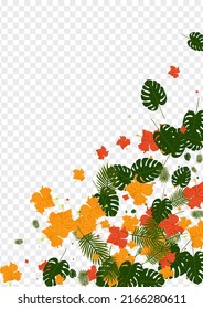 Orangefarbene Blätter Hintergrund transparenter Vektorgrafik. Pflanzenhelles Muster. Gelbe Blume. Stammkarte. Grüner Silhouettenrahmen.