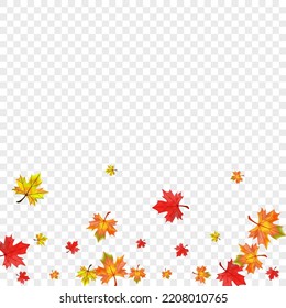Orange Leaves Background Transparent Vector. Foliage Forest Frame. Ocher Design Floral. Celebrate Leaf Design.