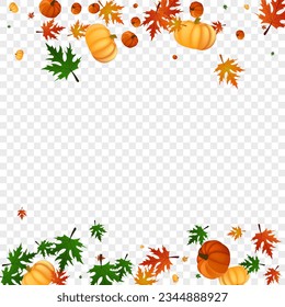 Naranja Deja El Vector Transparente De Fondo. Frontera roja de setiembre. Textura de la cosecha de calabaza verde. Comida vegetal. Ilustración de temporada.
