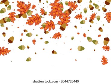 Orange Leaves Background White Vector. Plant Floral Frame. Brown Acorn. November Texture. Gold Oak Modern.