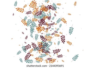 Orange Leaves Background White Vector. Foliage Landscape Frame. Golden Leaf. Green Herb November. Decor Illustration.