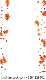 Orange Leaves Background White Vector. Acorn Forest Texture. Brown Leaf. November Illustration. Yellow Plant Gradation.
