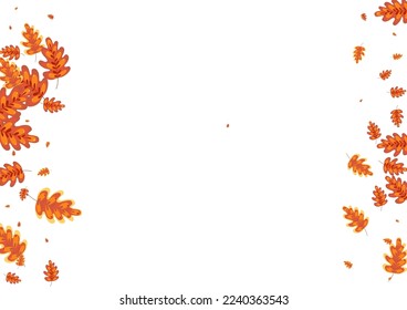 Orange Leaves Background White Vector. Leaf Realistic Texture. Red Acorn. Pattern Set. Golden Oak Woods.